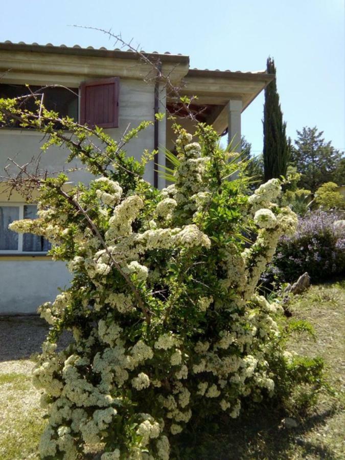 Casa D' Artista B&B Ozieri Exterior foto